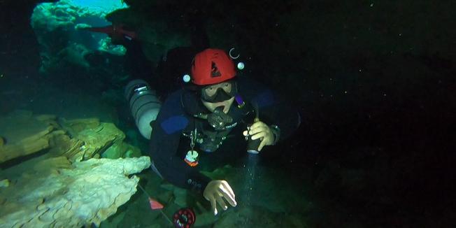 INTRODUCTORY
CAVE DIVER